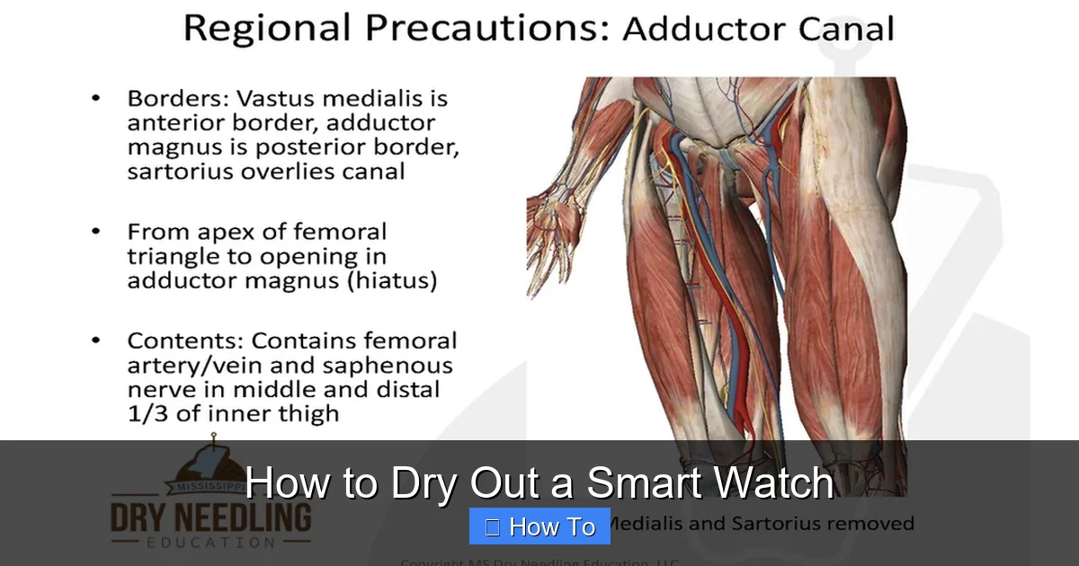 How to Dry Out a Smart Watch