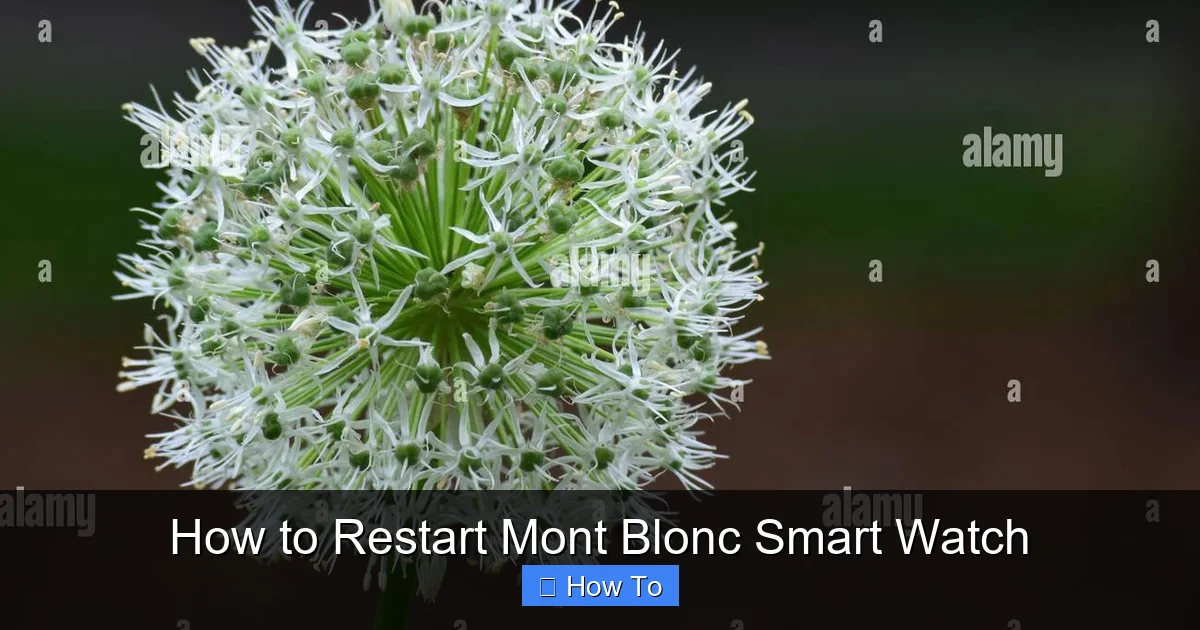 How to Restart Mont Blonc Smart Watch