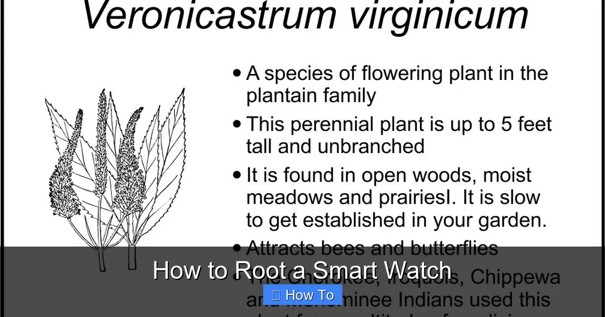 How to Root a Smart Watch