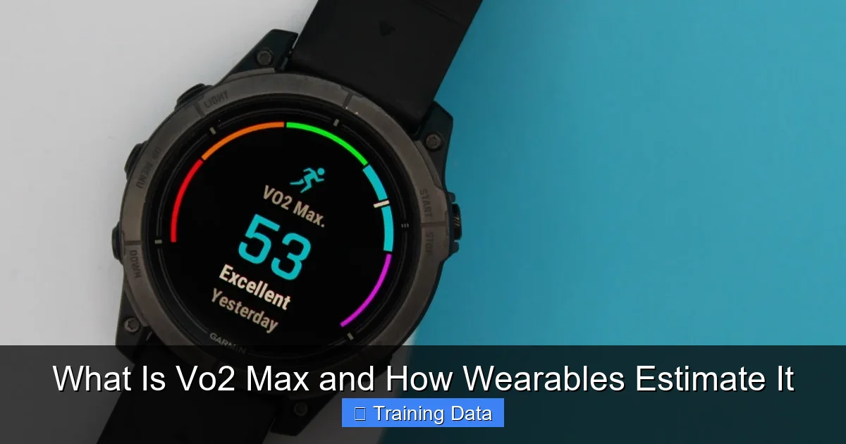 What Is Vo2 Max and How Wearables Estimate It